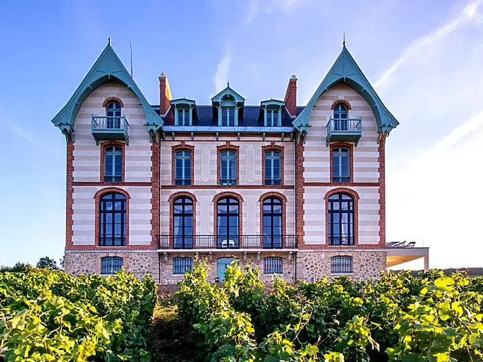 Chateau de Sacy (Sacy)