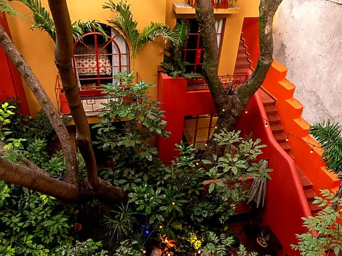 The Red Tree House